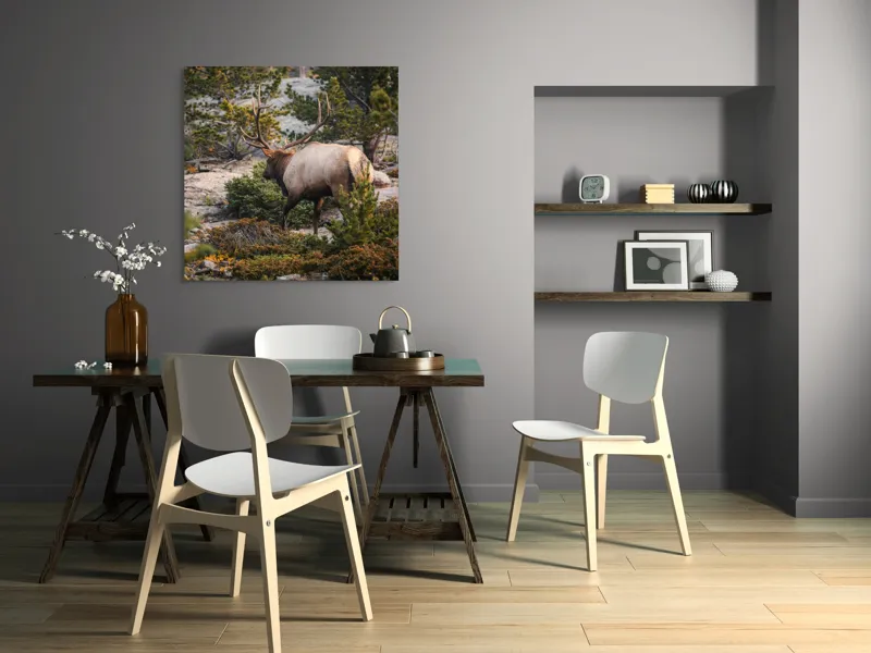 Tablou Canvas, "Elan printre pini montani", Cerb, Pădure, Corn, Verdeață, Natură, Peisaj, Sălbăticie, Aventură, Liniște, Frumusețe, Tranquilitate., 100 x 100 cm – poza 6