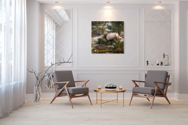 Tablou Canvas, "Elan printre pini montani", Cerb, Pădure, Corn, Verdeață, Natură, Peisaj, Sălbăticie, Aventură, Liniște, Frumusețe, Tranquilitate., 100 x 100 cm – poza 7