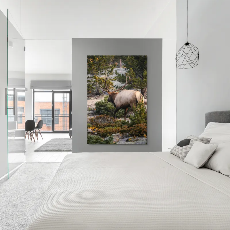 Tablou Canvas, "Elan printre pini montani", Cerb, Pădure, Corn, Verdeață, Natură, Peisaj, Sălbăticie, Aventură, Liniște, Frumusețe, Tranquilitate., 100 x 150 cm – poza 5