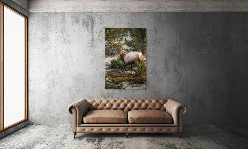 Tablou Canvas, "Elan printre pini montani", Cerb, Pădure, Corn, Verdeață, Natură, Peisaj, Sălbăticie, Aventură, Liniște, Frumusețe, Tranquilitate., 100 x 150 cm – poza 6