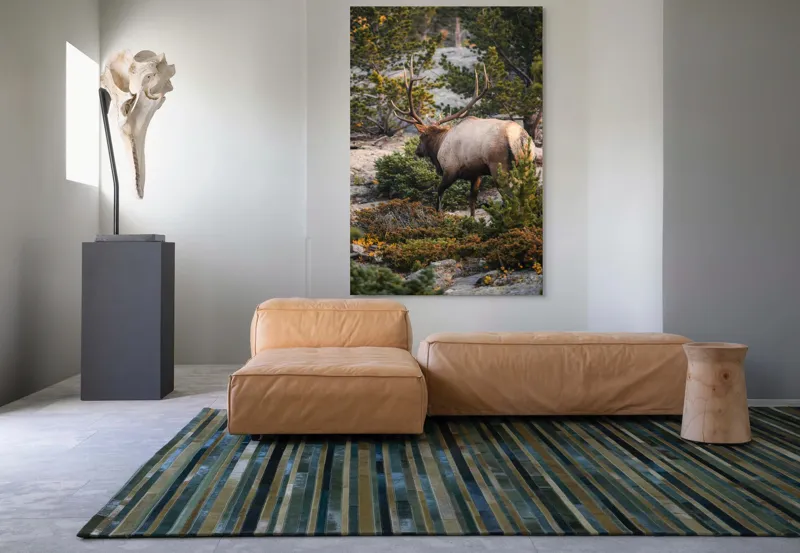 Tablou Canvas, "Elan printre pini montani", Cerb, Pădure, Corn, Verdeață, Natură, Peisaj, Sălbăticie, Aventură, Liniște, Frumusețe, Tranquilitate., 100 x 150 cm – poza 7