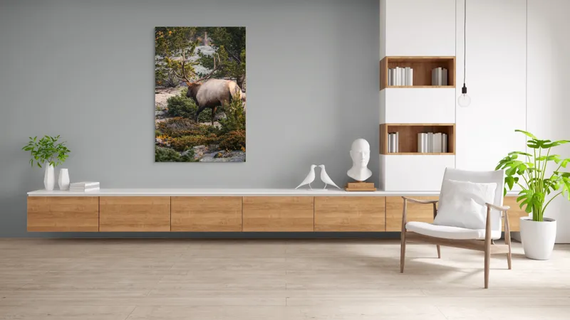 Tablou Canvas, "Elan printre pini montani", Cerb, Pădure, Corn, Verdeață, Natură, Peisaj, Sălbăticie, Aventură, Liniște, Frumusețe, Tranquilitate., 100 x 150 cm – poza 8