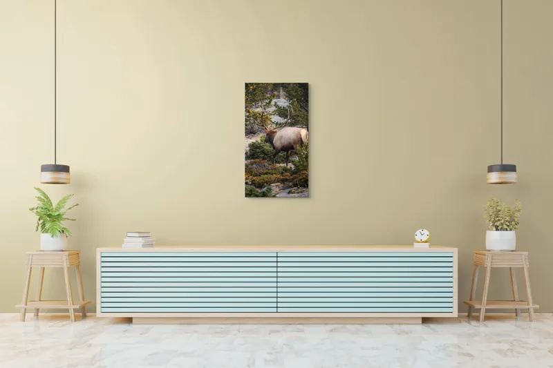 Tablou Canvas, "Elan printre pini montani", Cerb, Pădure, Corn, Verdeață, Natură, Peisaj, Sălbăticie, Aventură, Liniște, Frumusețe, Tranquilitate., 50 x 90 cm – poza 6