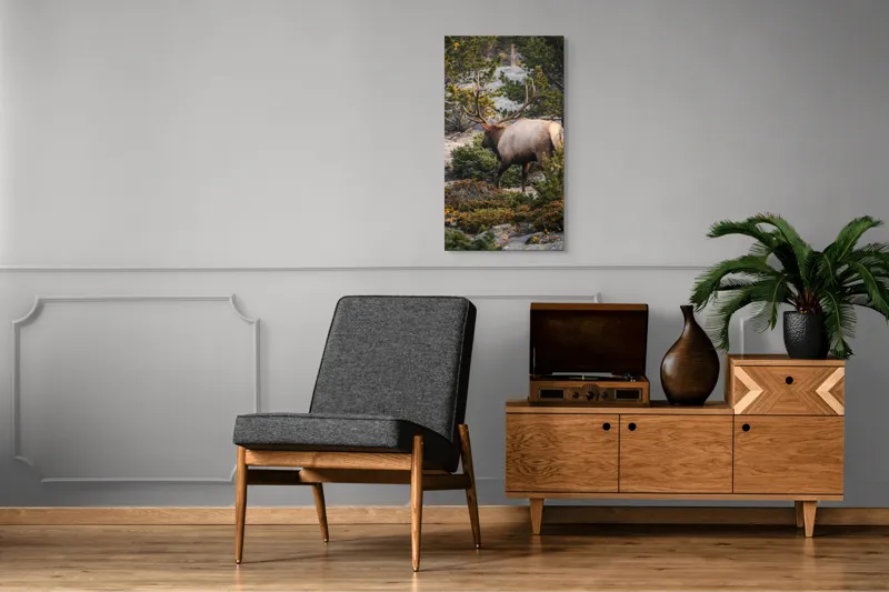Tablou Canvas, "Elan printre pini montani", Cerb, Pădure, Corn, Verdeață, Natură, Peisaj, Sălbăticie, Aventură, Liniște, Frumusețe, Tranquilitate., 50 x 90 cm – poza 8