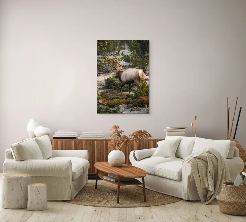 Tablou Canvas, "Elan printre pini montani", Cerb, Pădure, Corn, Verdeață, Natură, Peisaj, Sălbăticie, Aventură, Liniște, Frumusețe, Tranquilitate., 70 x 100 cm – poza 4