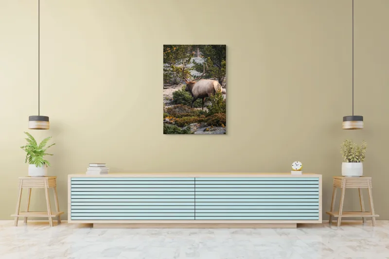 Tablou Canvas, "Elan printre pini montani", Cerb, Pădure, Corn, Verdeață, Natură, Peisaj, Sălbăticie, Aventură, Liniște, Frumusețe, Tranquilitate., 70 x 100 cm – poza 5