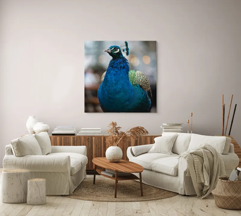 Tablou Canvas, "Păunul mândru în grădină regală", Bijuterie, Penaj, Regal, Albastru, Strălucire, Păun, Graţie, Natură., 100 x 100 cm – poza 3