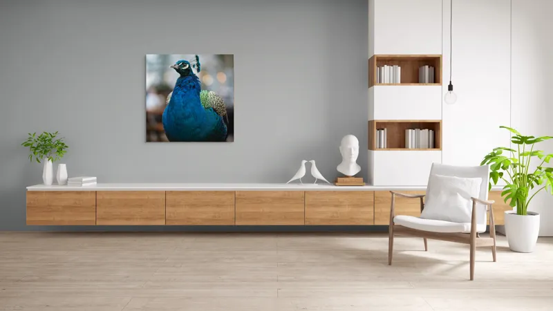 Tablou Canvas, "Păunul mândru în grădină regală", Bijuterie, Penaj, Regal, Albastru, Strălucire, Păun, Graţie, Natură., 100 x 100 cm – poza 8