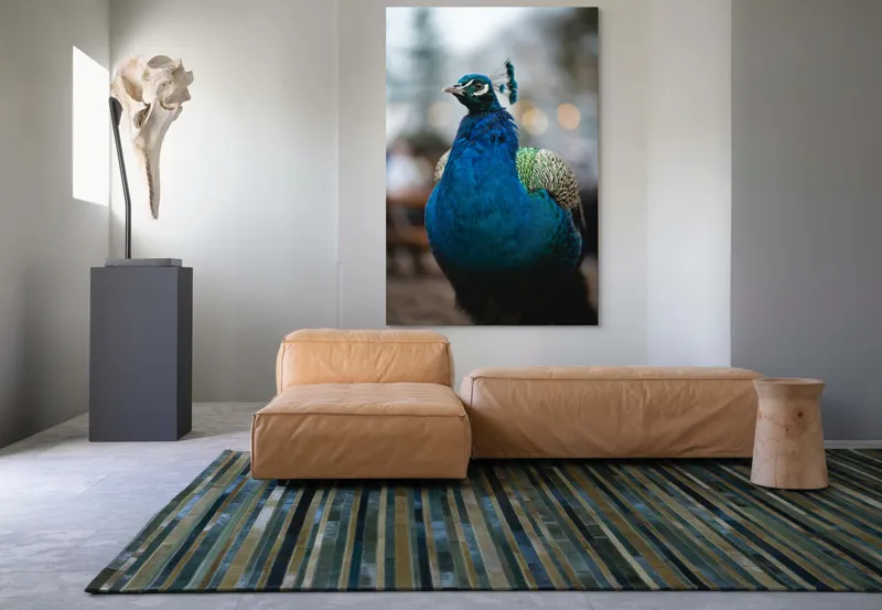 Tablou Canvas, "Păunul mândru în grădină regală", Bijuterie, Penaj, Regal, Albastru, Strălucire, Păun, Graţie, Natură., 100 x 150 cm – poza 7