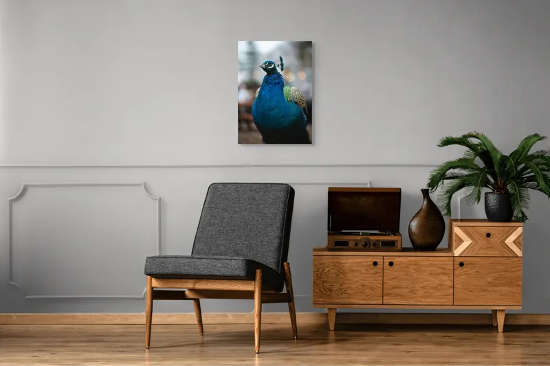 Tablou Canvas, "Păunul mândru în grădină regală", Bijuterie, Penaj, Regal, Albastru, Strălucire, Păun, Graţie, Natură., 50 x 70 cm – poza 8
