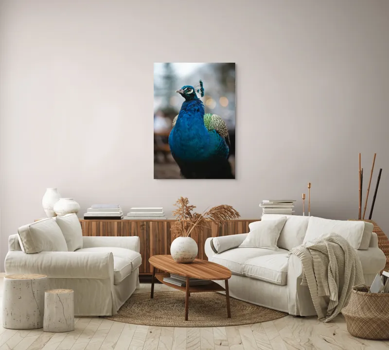 Tablou Canvas, "Păunul mândru în grădină regală", Bijuterie, Penaj, Regal, Albastru, Strălucire, Păun, Graţie, Natură., 70 x 100 cm – poza 4