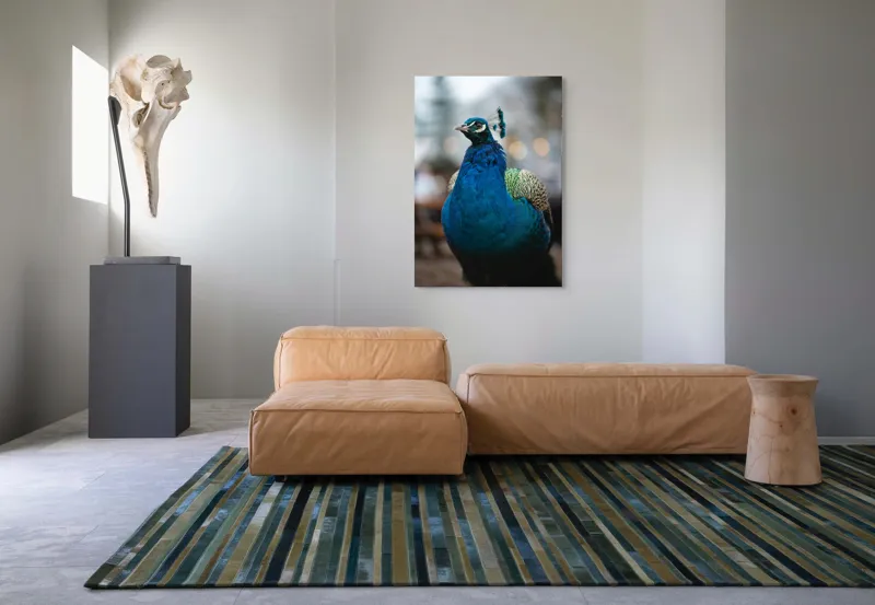 Tablou Canvas, "Păunul mândru în grădină regală", Bijuterie, Penaj, Regal, Albastru, Strălucire, Păun, Graţie, Natură., 70 x 100 cm – poza 7
