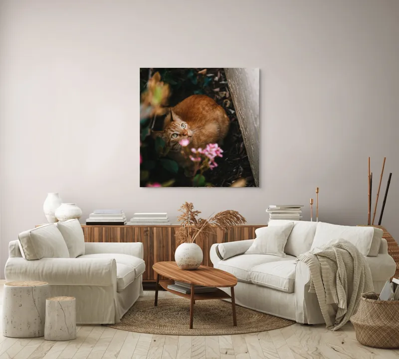 Tablou Canvas, "Pisica ascunsă printre flori roz", Pisică, Portocalie, Privire, Flori, Frunziș, Zid, Ușoară, Culoare, Ascunziș, Curiozitate, 100 x 100 cm – poza 3