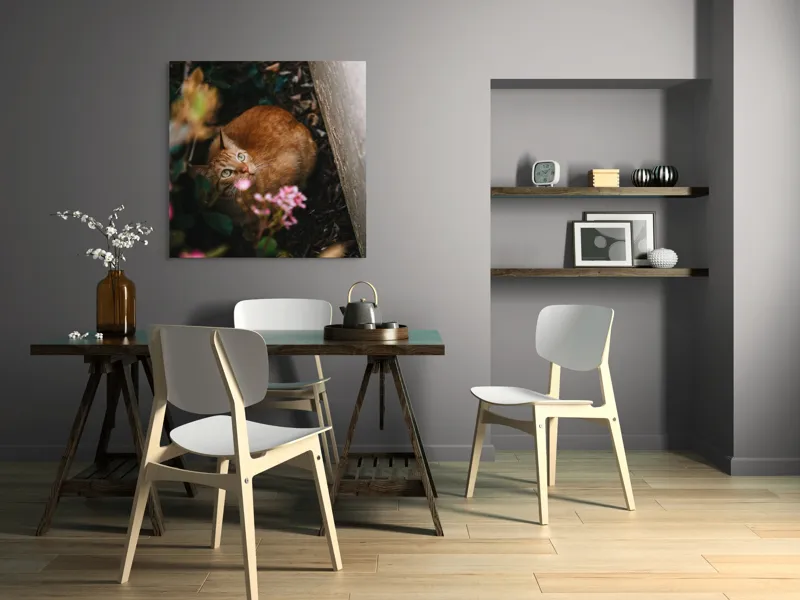 Tablou Canvas, "Pisica ascunsă printre flori roz", Pisică, Portocalie, Privire, Flori, Frunziș, Zid, Ușoară, Culoare, Ascunziș, Curiozitate, 100 x 100 cm – poza 6