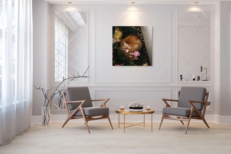 Tablou Canvas, "Pisica ascunsă printre flori roz", Pisică, Portocalie, Privire, Flori, Frunziș, Zid, Ușoară, Culoare, Ascunziș, Curiozitate, 100 x 100 cm – poza 7