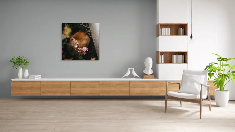 Tablou Canvas, "Pisica ascunsă printre flori roz", Pisică, Portocalie, Privire, Flori, Frunziș, Zid, Ușoară, Culoare, Ascunziș, Curiozitate, 100 x 100 cm – poza 8