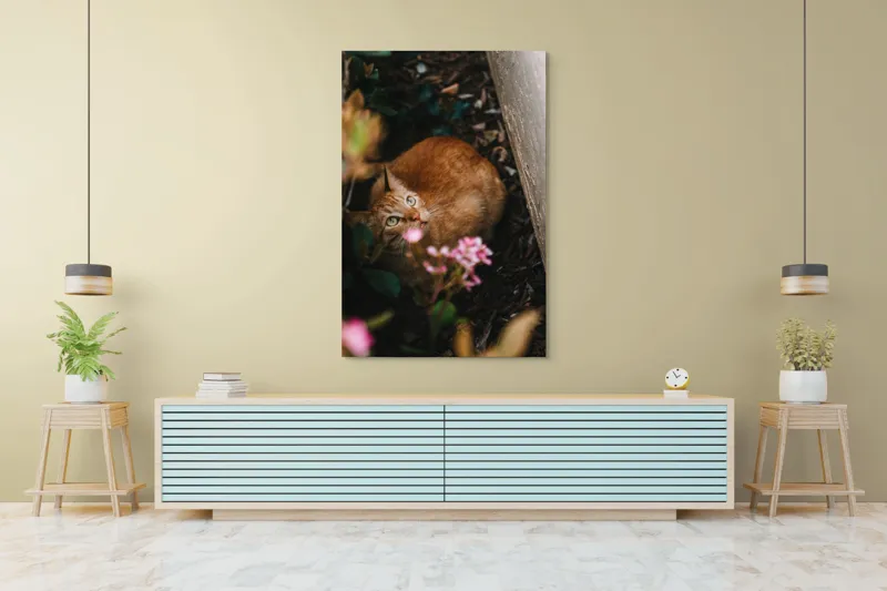 Tablou Canvas, "Pisica ascunsă printre flori roz", Pisică, Portocalie, Privire, Flori, Frunziș, Zid, Ușoară, Culoare, Ascunziș, Curiozitate, 100 x 150 cm – poza 4