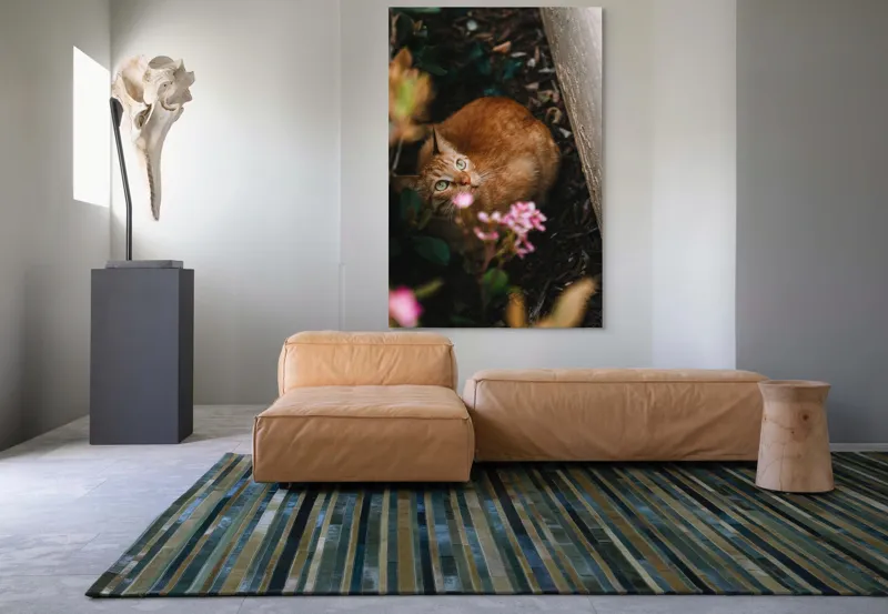Tablou Canvas, "Pisica ascunsă printre flori roz", Pisică, Portocalie, Privire, Flori, Frunziș, Zid, Ușoară, Culoare, Ascunziș, Curiozitate, 100 x 150 cm – poza 7