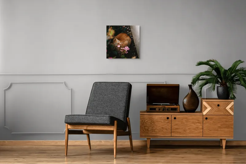 Tablou Canvas, "Pisica ascunsă printre flori roz", Pisică, Portocalie, Privire, Flori, Frunziș, Zid, Ușoară, Culoare, Ascunziș, Curiozitate, 50 x 50 cm – poza 6