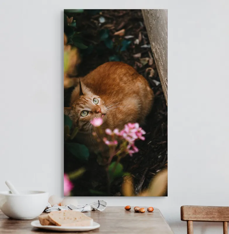 Tablou Canvas, "Pisica ascunsă printre flori roz", Pisică, Portocalie, Privire, Flori, Frunziș, Zid, Ușoară, Culoare, Ascunziș, Curiozitate, 50 x 90 cm – poza 3
