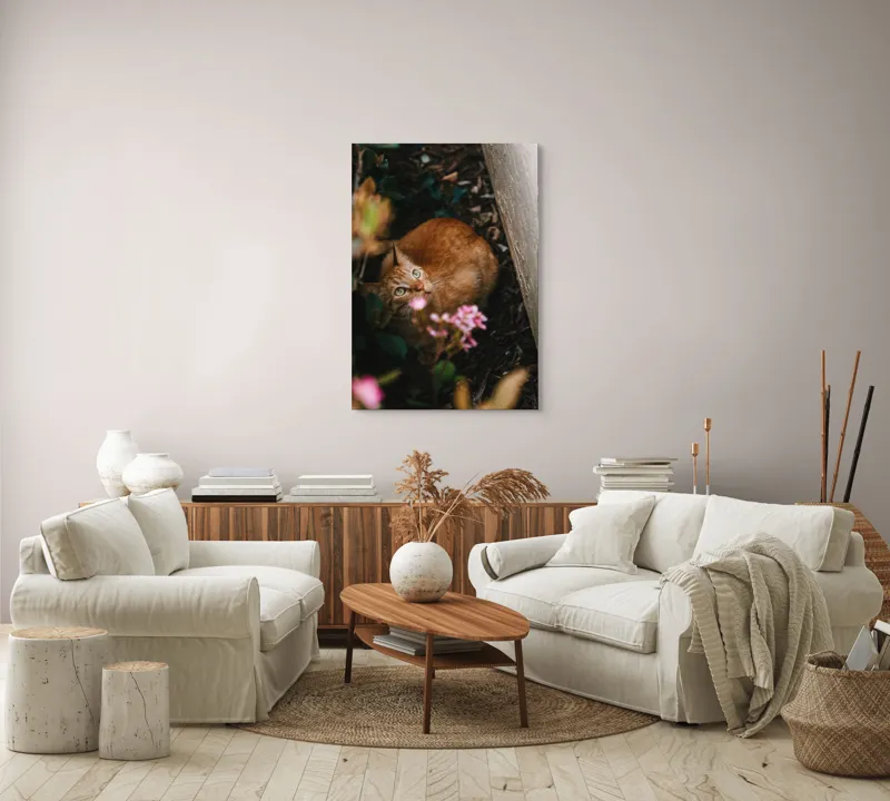 Tablou Canvas, "Pisica ascunsă printre flori roz", Pisică, Portocalie, Privire, Flori, Frunziș, Zid, Ușoară, Culoare, Ascunziș, Curiozitate, 70 x 100 cm – poza 4