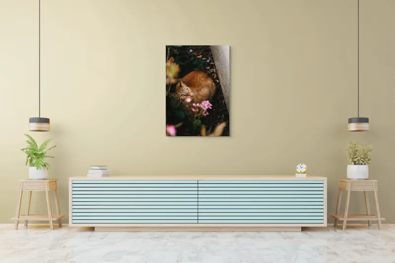 Tablou Canvas, "Pisica ascunsă printre flori roz", Pisică, Portocalie, Privire, Flori, Frunziș, Zid, Ușoară, Culoare, Ascunziș, Curiozitate, 70 x 100 cm – poza 5