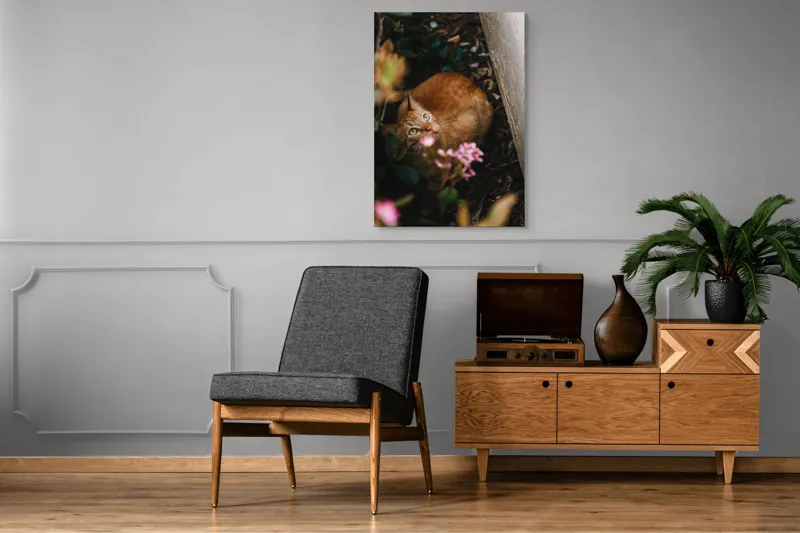 Tablou Canvas, "Pisica ascunsă printre flori roz", Pisică, Portocalie, Privire, Flori, Frunziș, Zid, Ușoară, Culoare, Ascunziș, Curiozitate, 70 x 100 cm – poza 6