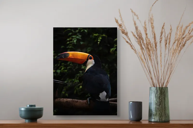 Tablou Canvas, "Tucanul sub umbrele pădurii tropicale", Colorat, Exotism, Contrast, Natură, Vibrant, Spectaculos, Eleganță, Fascinant, Misterios, 39 x 54 cm – poza 3
