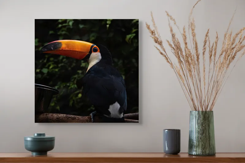 Tablou Canvas, "Tucanul sub umbrele pădurii tropicale", Colorat, Exotism, Contrast, Natură, Vibrant, Spectaculos, Eleganță, Fascinant, Misterios, 50 x 50 cm – poza 4