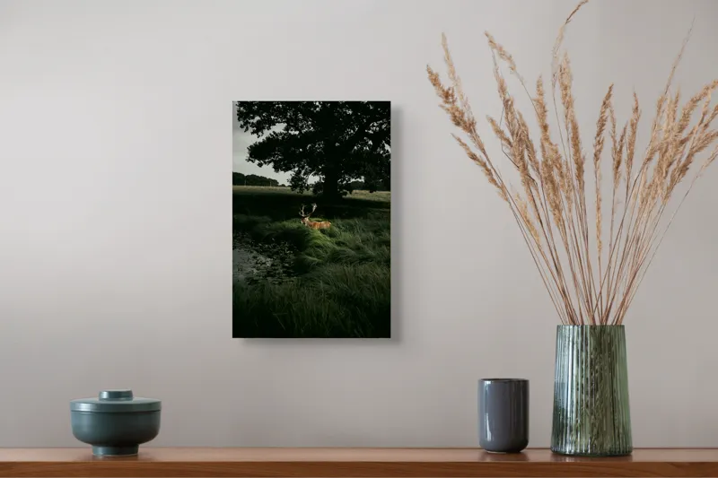 Tablou Canvas, "Cerbul în lumina apusului pădurii", Cerb, Iarbă, Copac, Umbre, Lac, Natură, Seară, Serenitate, Siluetă, Peisaj, 26 x 39 cm – poza 5