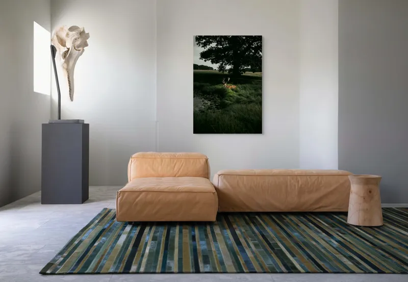 Tablou Canvas, "Cerbul în lumina apusului pădurii", Cerb, Iarbă, Copac, Umbre, Lac, Natură, Seară, Serenitate, Siluetă, Peisaj, 70 x 100 cm – poza 7