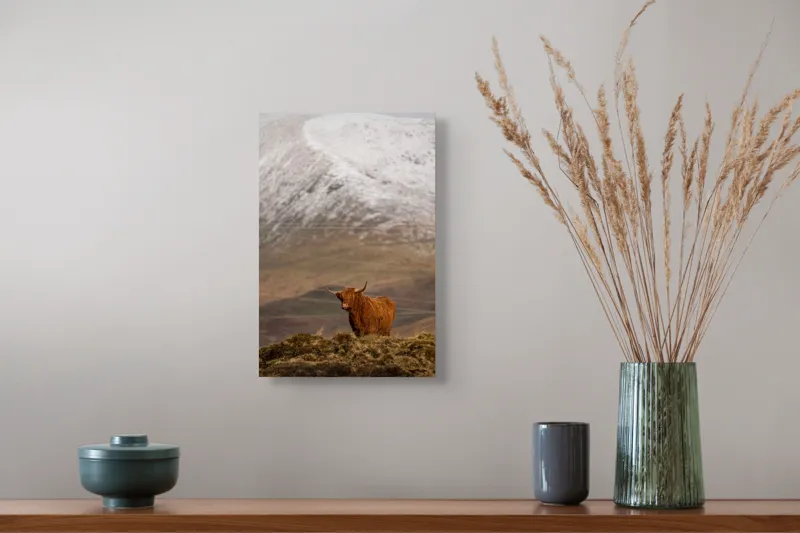 Tablou Canvas, "Văile munților și boul singuratic", Iubire, Libertate, Sălbăticie, Solitudine, Măreție, Natură, Pășune, Răceală, Liniște, Reflecție, 26 x 39 cm – poza 5