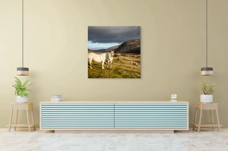 Tablou Canvas, "Cai albi în peisaj montan sălbatic", Nori, Cai, Dealuri, Pajiște, Peisaj, Munți, Natură, Cer, Verdeață, 100 x 100 cm – poza 5