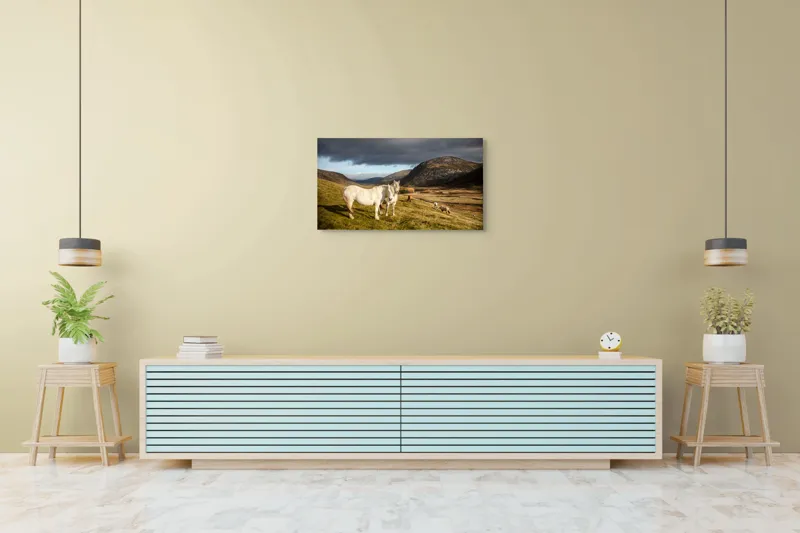 Tablou Canvas, "Cai albi în peisaj montan sălbatic", Nori, Cai, Dealuri, Pajiște, Peisaj, Munți, Natură, Cer, Verdeață, 90 x 50 cm – poza 5