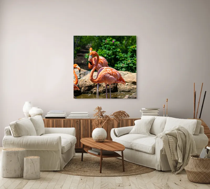Tablou Canvas, "Grațioasele flamingo în grădină zoologică", Flamingo, Eleganță, Roz, Natură, Grădină, Apă, Pietre, Vegetație, Soare, Aripi, 100 x 100 cm – poza 3
