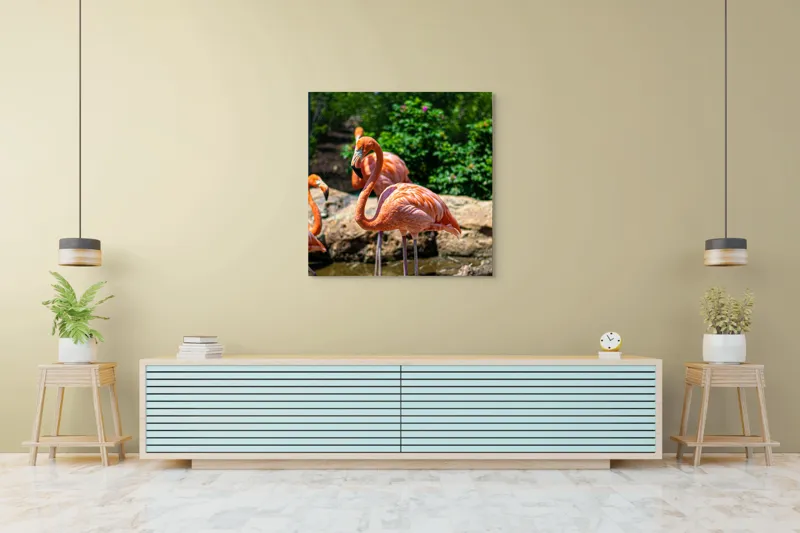 Tablou Canvas, "Grațioasele flamingo în grădină zoologică", Flamingo, Eleganță, Roz, Natură, Grădină, Apă, Pietre, Vegetație, Soare, Aripi, 100 x 100 cm – poza 5