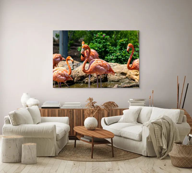 Tablou Canvas, "Grațioasele flamingo în grădină zoologică", Flamingo, Eleganță, Roz, Natură, Grădină, Apă, Pietre, Vegetație, Soare, Aripi, 150 x 100 cm – poza 3