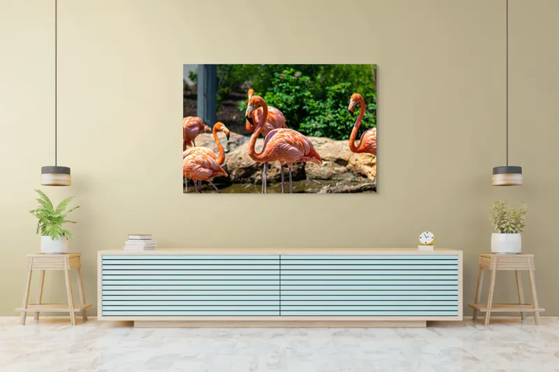 Tablou Canvas, "Grațioasele flamingo în grădină zoologică", Flamingo, Eleganță, Roz, Natură, Grădină, Apă, Pietre, Vegetație, Soare, Aripi, 150 x 100 cm – poza 6