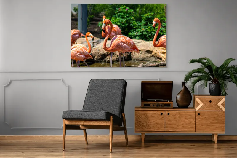 Tablou Canvas, "Grațioasele flamingo în grădină zoologică", Flamingo, Eleganță, Roz, Natură, Grădină, Apă, Pietre, Vegetație, Soare, Aripi, 150 x 100 cm – poza 8