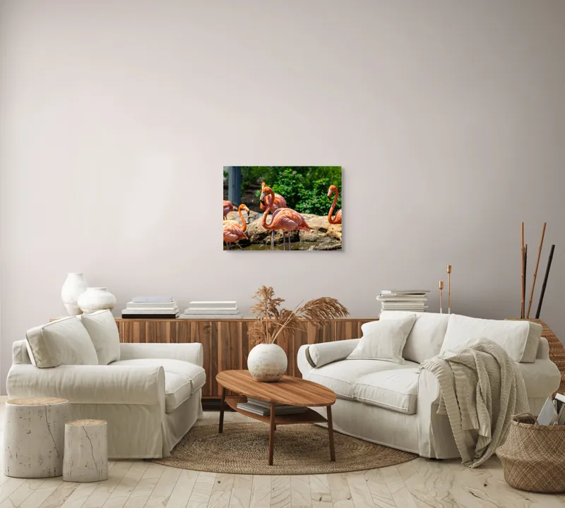 Tablou Canvas, "Grațioasele flamingo în grădină zoologică", Flamingo, Eleganță, Roz, Natură, Grădină, Apă, Pietre, Vegetație, Soare, Aripi, 70 x 50 cm – poza 6