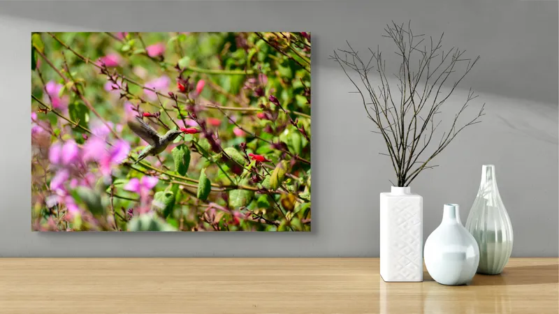 Tablou Canvas, "Colibri printre flori colorate vibrant", Flori, Frunze, Hummingbird, Verde, Roz, Miscare, Natural, Vibrant, Gradina, Primavara, 70 x 50 cm – poza 3