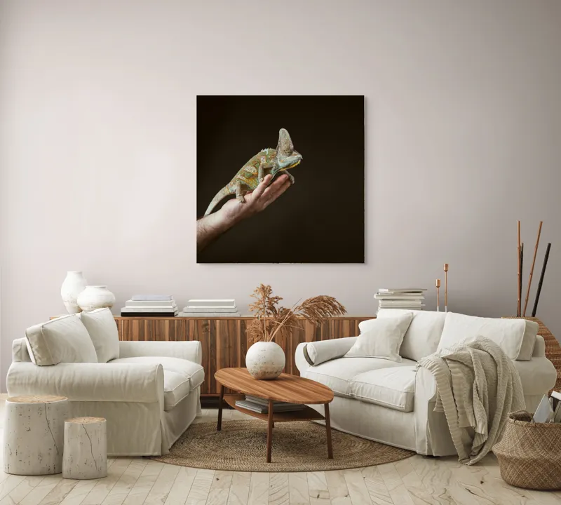 Tablou Canvas, "Cameleonul pe mâna îngrijitorului său", Cameleon, Mână, Reptilă, Verde, Textură, Întuneric, Delicat, Contrast, Exotic, Natură, 100 x 100 cm – poza 3