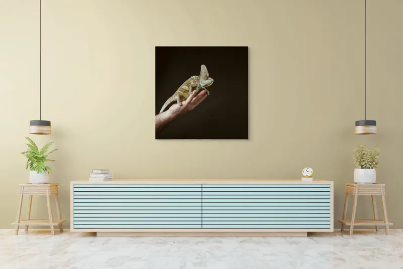Tablou Canvas, "Cameleonul pe mâna îngrijitorului său", Cameleon, Mână, Reptilă, Verde, Textură, Întuneric, Delicat, Contrast, Exotic, Natură, 100 x 100 cm – poza 5