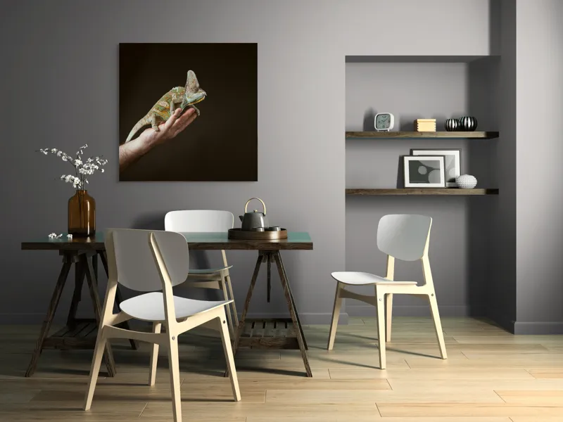 Tablou Canvas, "Cameleonul pe mâna îngrijitorului său", Cameleon, Mână, Reptilă, Verde, Textură, Întuneric, Delicat, Contrast, Exotic, Natură, 100 x 100 cm – poza 6