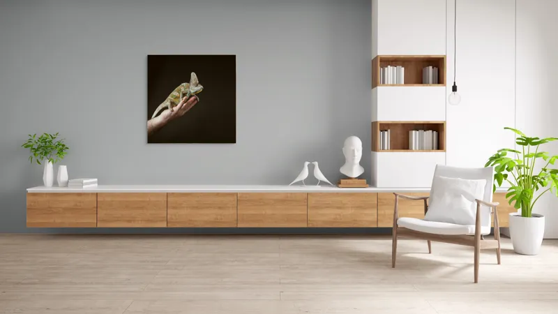 Tablou Canvas, "Cameleonul pe mâna îngrijitorului său", Cameleon, Mână, Reptilă, Verde, Textură, Întuneric, Delicat, Contrast, Exotic, Natură, 100 x 100 cm – poza 8