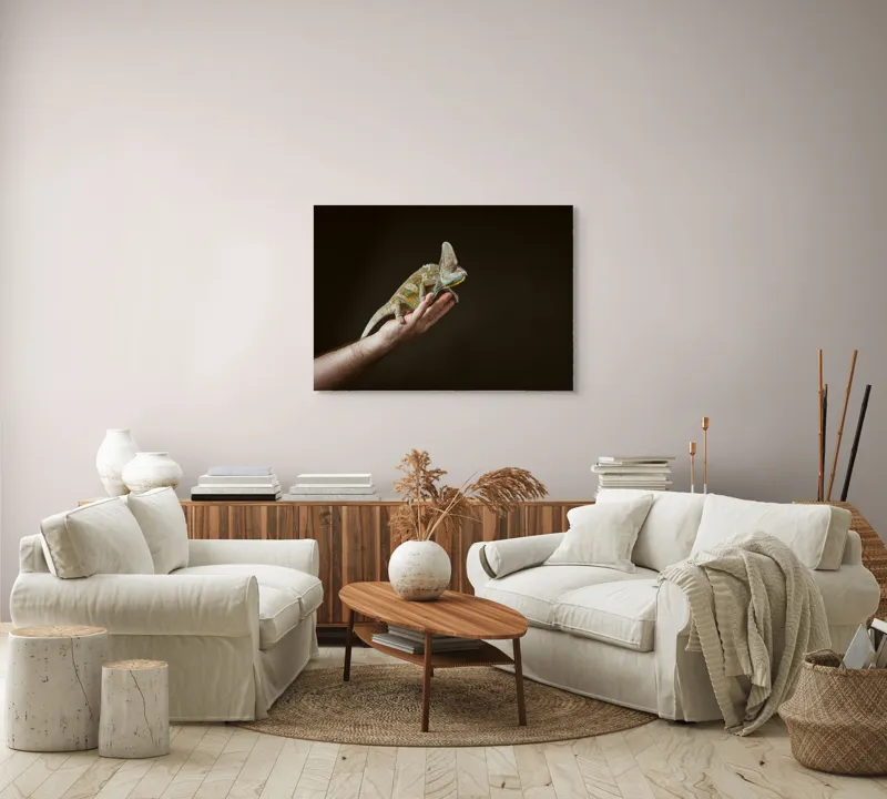 Tablou Canvas, "Cameleonul pe mâna îngrijitorului său", Cameleon, Mână, Reptilă, Verde, Textură, Întuneric, Delicat, Contrast, Exotic, Natură, 100 x 70 cm – poza 3