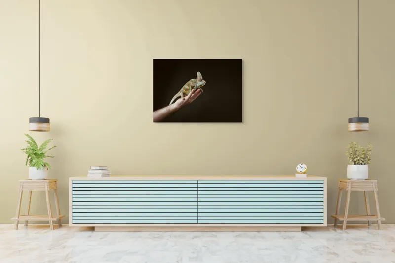 Tablou Canvas, "Cameleonul pe mâna îngrijitorului său", Cameleon, Mână, Reptilă, Verde, Textură, Întuneric, Delicat, Contrast, Exotic, Natură, 100 x 70 cm – poza 4