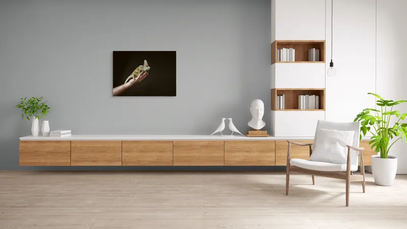 Tablou Canvas, "Cameleonul pe mâna îngrijitorului său", Cameleon, Mână, Reptilă, Verde, Textură, Întuneric, Delicat, Contrast, Exotic, Natură, 100 x 70 cm – poza 6