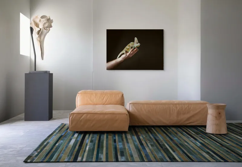Tablou Canvas, "Cameleonul pe mâna îngrijitorului său", Cameleon, Mână, Reptilă, Verde, Textură, Întuneric, Delicat, Contrast, Exotic, Natură, 100 x 70 cm – poza 7