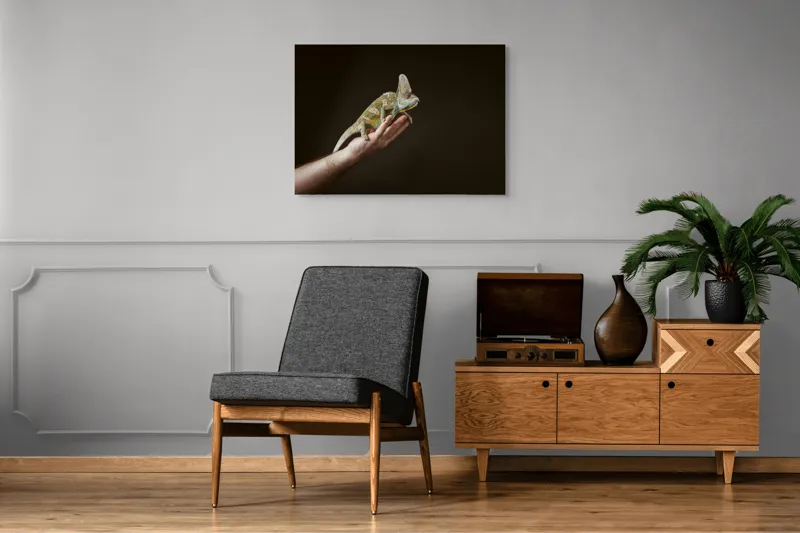 Tablou Canvas, "Cameleonul pe mâna îngrijitorului său", Cameleon, Mână, Reptilă, Verde, Textură, Întuneric, Delicat, Contrast, Exotic, Natură, 100 x 70 cm – poza 8